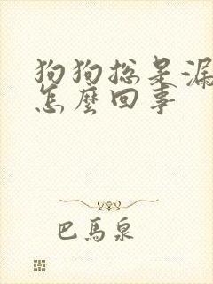 狗狗总是漏尿是怎么回事