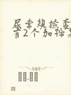 尿常规检查隐血有2个加号是怎么回事
