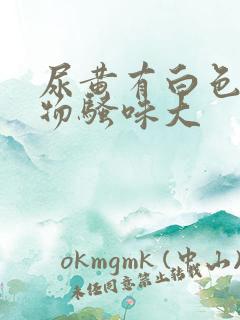 尿黄有白色沉淀物骚味大