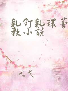 乳钉乳环蒂环调教小说