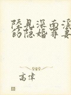 陆见深南溪陆少的隐婚罪妻