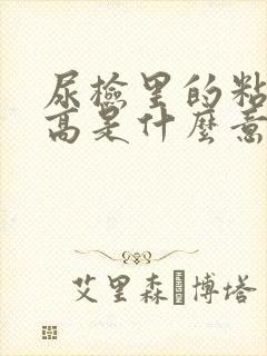 尿检里的粘液丝高是什么意思