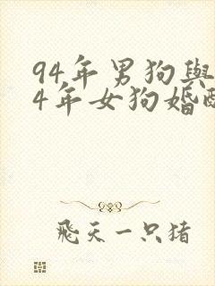94年男狗与94年女狗婚配怎样