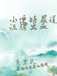 小便时尿道刺痛流脓出血