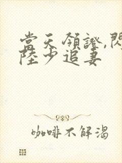 当天领证,闪婚陆少追妻