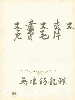 又黄又爽又高潮免费毛片