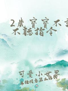 2岁宝宝不说话不听指令