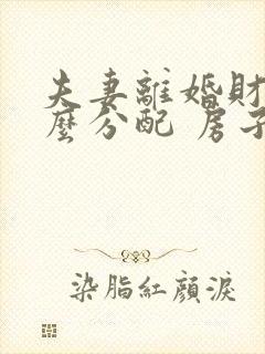 夫妻离婚财产怎么分配 房子孩子