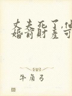 丈夫死了,他的婚前财产可以继承么?