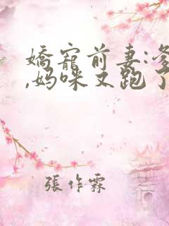 娇宠前妻:爹地,妈咪又跑了全文阅读