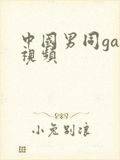 中国男同gay视频