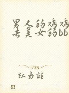 男人的鸡鸡操进去美女的bb里