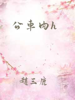 公车肉h