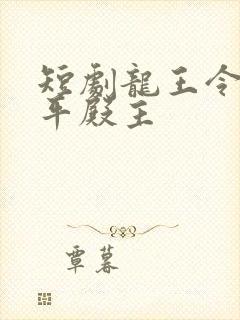 短剧龙王令之陈平殿主