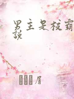 男主是校霸的小说