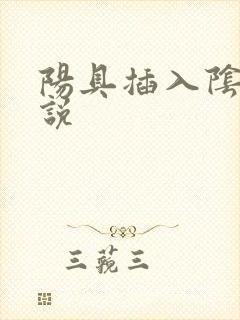 阳具插入阴道小说