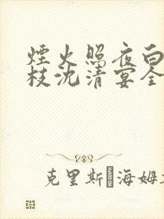 烟火照夜白温南枝沈清宴全文小说