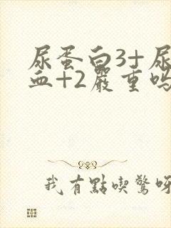 尿蛋白3+尿潜血+2严重吗