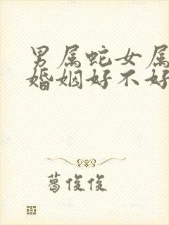 男属蛇女属马的婚姻好不好