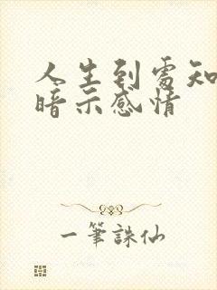 人生到处知何似暗示感情