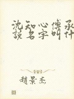 沈知心傅承景小说名字叫什么