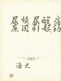 尿频尿酸痛什么原因引起的