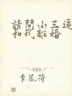 请问小三逼老公和我离婚