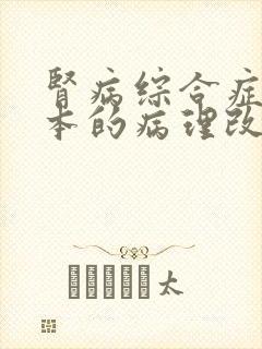 肾病综合症最根本的病理改变