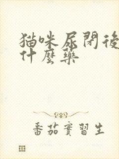 猫咪尿闭后该吃什么药