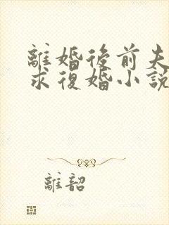 离婚后前夫哭着求复婚小说