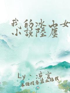 我的冰山女总裁小说陆尘