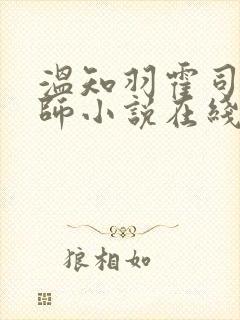 温知羽霍司砚律师小说在线阅读