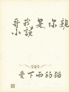 哥我是你亲妹妹小说