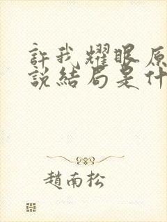 许我耀眼原著小说结局是什么