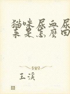 猫咪尿血尿不出来是怎么回事