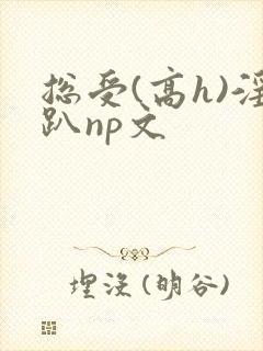 总受(高h)淫趴np文