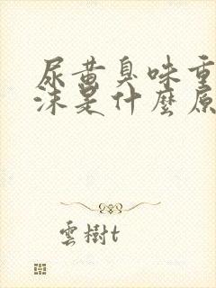 尿黄臭味重有泡沫是什么原因男