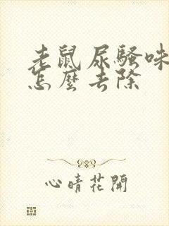 老鼠尿骚味太重怎么去除