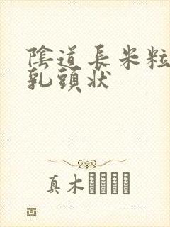 阴道长米粒大小乳头状