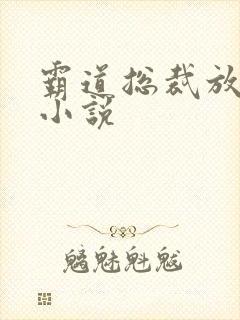 霸道总裁放肆爱小说