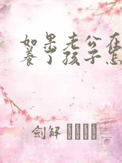 如果老公在外面养了孩子怎么办