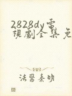 2828dy电视剧全集免费观看
