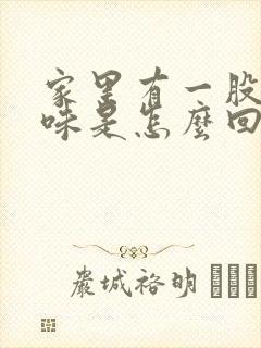 家里有一股尿骚味是怎么回事