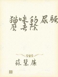 猫咪的尿骚味怎么去除