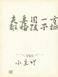 夫妻因一方出轨离婚孩子抚养权怎么判定