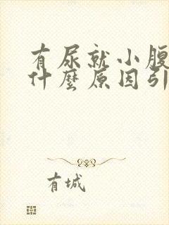 有尿就小腹胀痛什么原因引起的