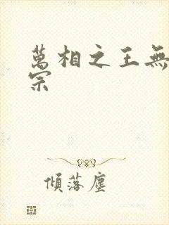 万相之王无相圣宗