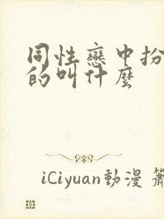 同性恋中扮演女的叫什么