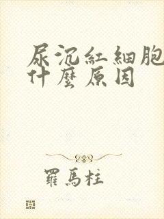 尿沉红细胞高是什么原因