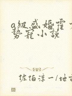 a级盛婚霍少强势宠小说